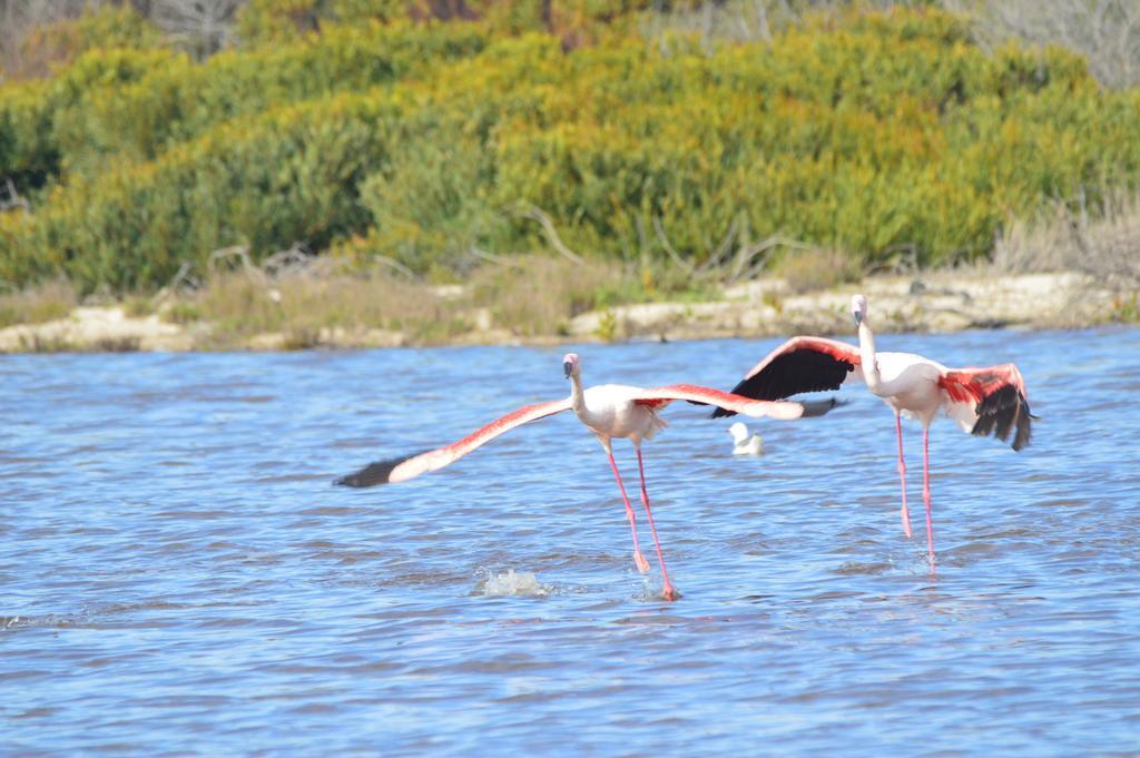 הרמנוס Fisherhaven Travellers Lodge מראה חיצוני תמונה