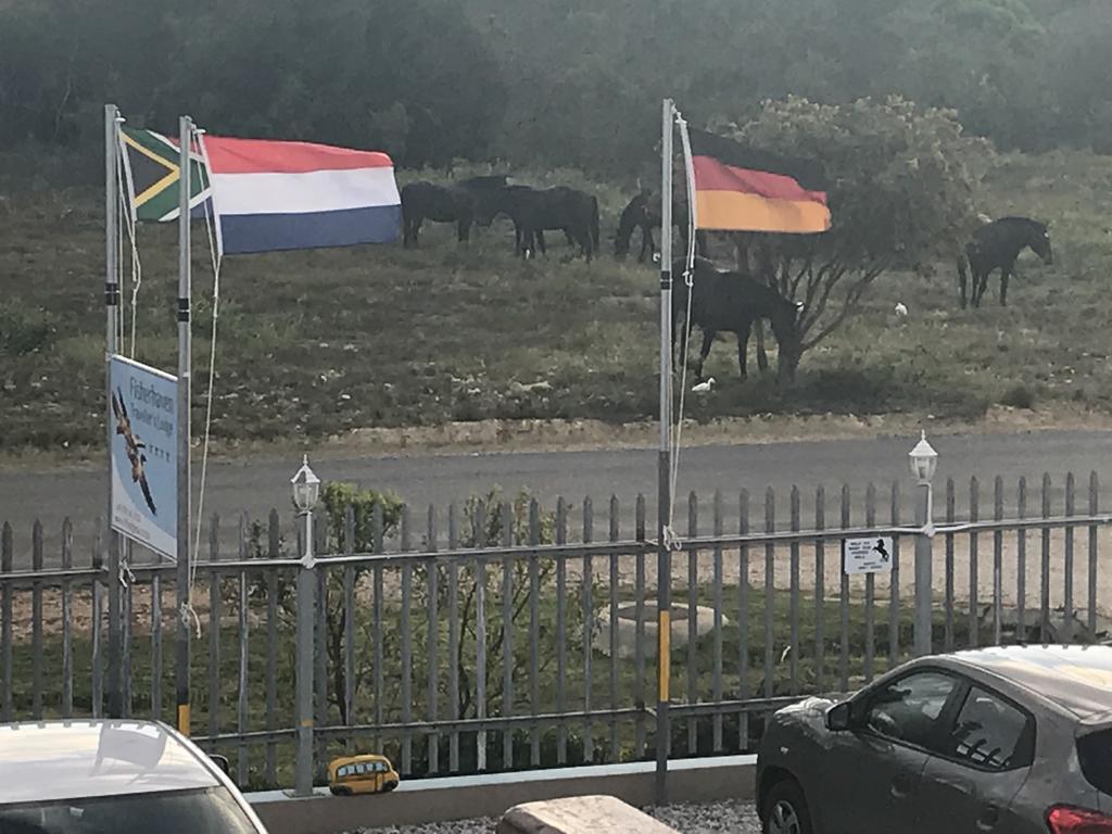 הרמנוס Fisherhaven Travellers Lodge מראה חיצוני תמונה