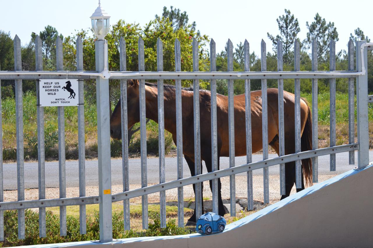 הרמנוס Fisherhaven Travellers Lodge מראה חיצוני תמונה